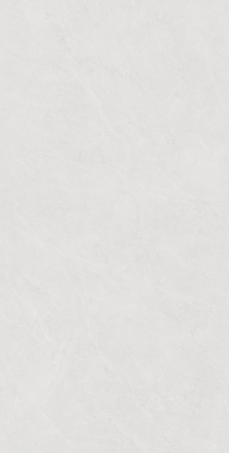 DT61210TAL 布斯特